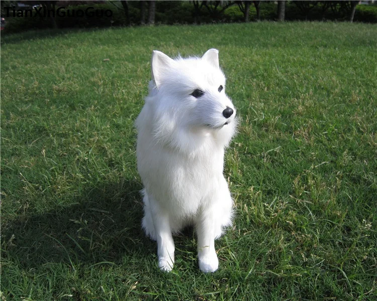 

simulation samoyed dog squatting pose 25x8x24cm hard model toy polyethylene&furs white dog handicraft home decoration gift s0668