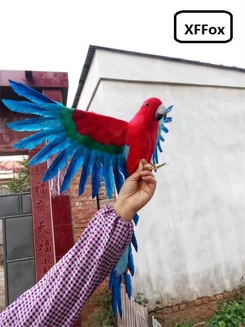 big simulation wings parrot model foam&furs real life red&blue parrot bird gift about 60x90 cm xf1148