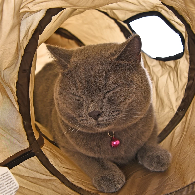 "S" Drôle Pet Tunnel Chat Jouer Tunnel Brun Pliable 1 Trous chat Tunnel Chaton Chat Jouet En Vrac Chat Jouets Lapin Jouer Tunnel