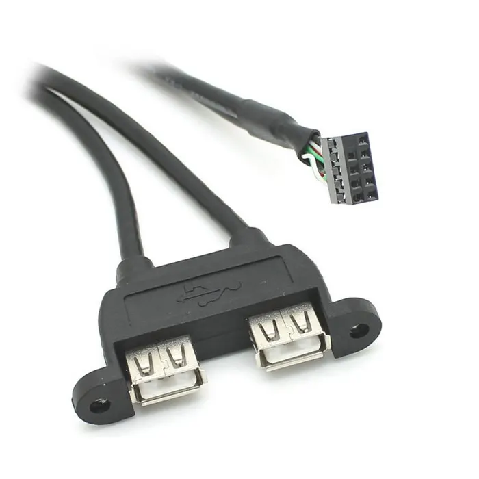 25Cm Dual USB 2.0 Một Loại Nữ Cho Bo Mạch Chủ 9 Pin 9pin Đầu Cáp Có Ốc Vít Bảng Lỗ