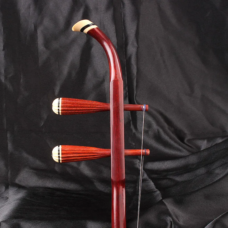 Chinese Musical Instrument Erhu Lignumvitae Rosewood Erhu Portable Case WITH BOOK