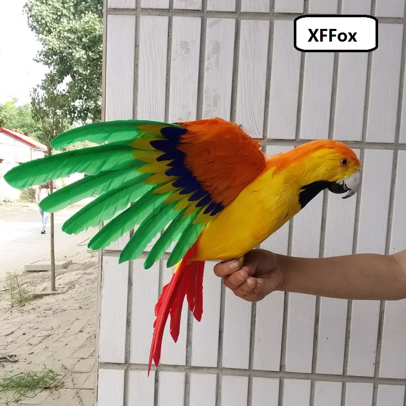 big real life wings orange&yellow parrot model foam&feather simulation parrot bird gift about 45x60cm xf0297