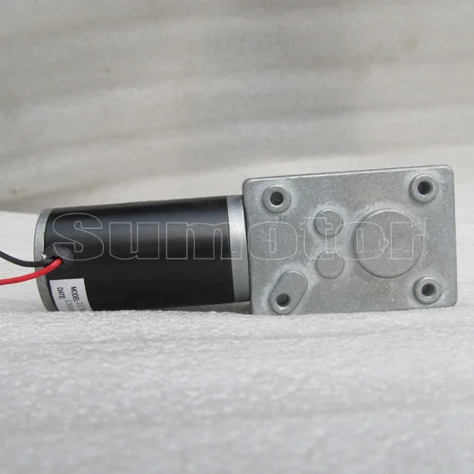 Imagem -03 - Motor de Alto Torque Baixo Rpm Verme Orientada Reversível do Motor Auto-lock para rc Elétrico Modelo de Barco Carro Inteligente Robô Gw31zy dc 24 v