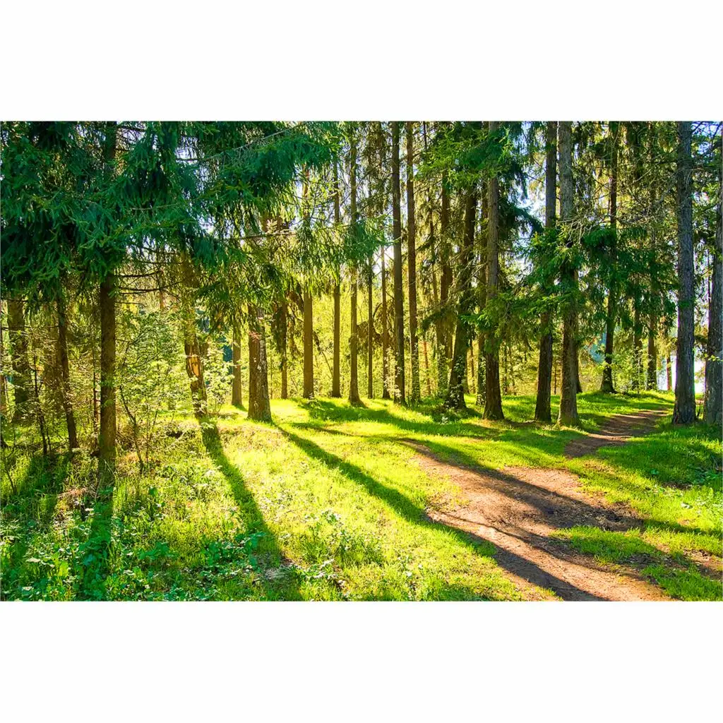 Allenjoy-Fondo de fotografía para niños, pinturas de acuarela, paisaje, arte Digital, primavera soleada, fotos naturales, cámara fotográfica