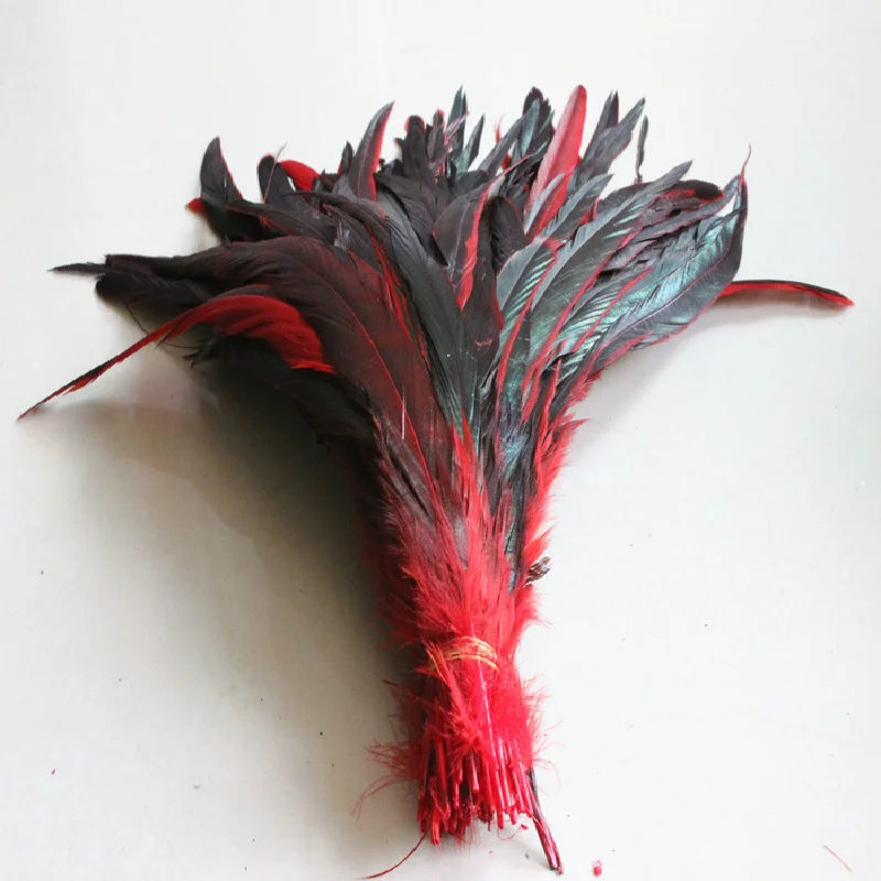 

Wholesale 500PCS red Rooster Tail Feathers 30-35 cm / 12-14 inches