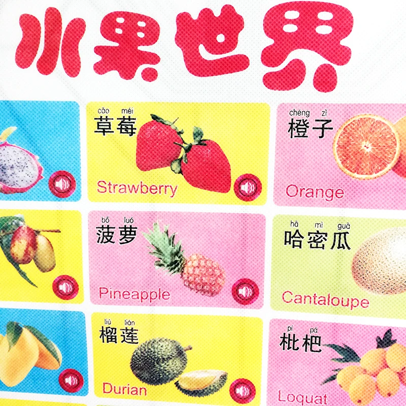 Electronic Learning Bilingual Chart Vegetables & Fruits (Double Sided) English&Chinese Early Education Wall Poster 16.5x22In