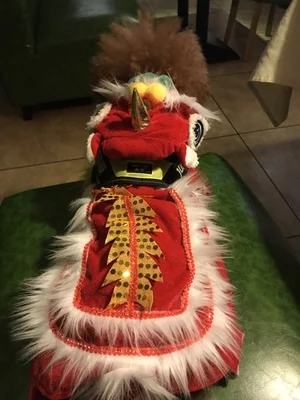 New Year\'s pet Chinese costume dragon dance lion dog clothes lion dance red funny festive lucky cat clothes makeover