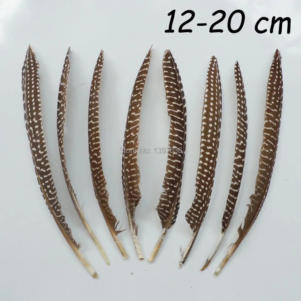 Wholesale! 20 / 50 pcs 12-20 cm Natural Pheasant Feathers Chicken Plume for DIY jewelry Crafts clothing party weddingDecoration