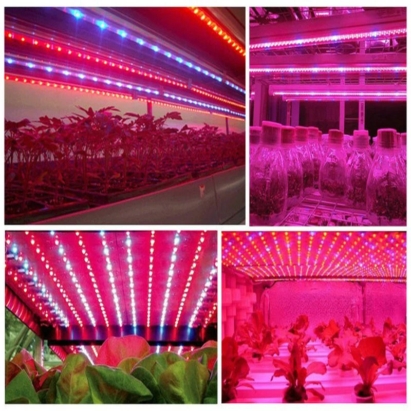 10 Buah 3W LED Spektrum Penuh Dioda Chip 400-840nm Panjang Gelombang Merah Muda 30mil 45mil untuk Tumbuh Dalam Ruangan dan Lampu LED Hidroponik