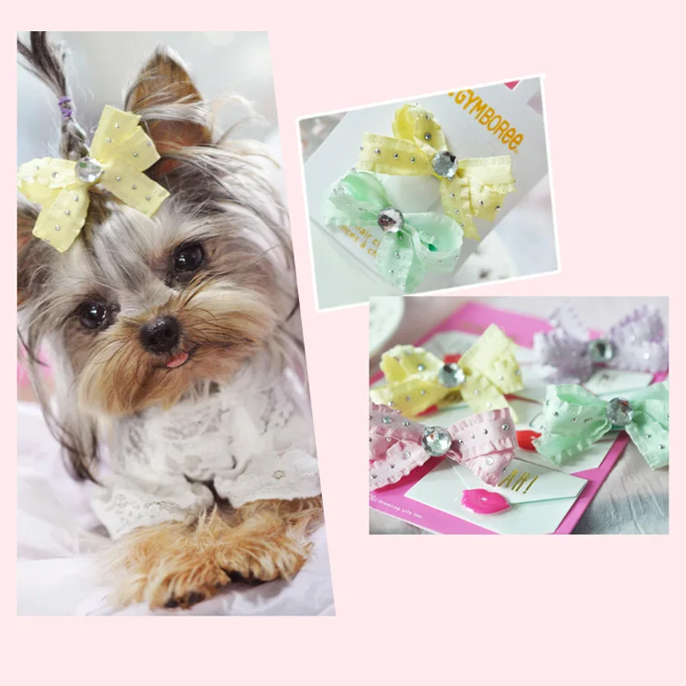 New Dog hair accessories acrylic diamond butterfly hairpin clip BB pet duck korean wholesale pet products 20pcs