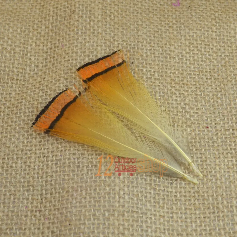MNFT Plumas de Faisán Dorado Real para Atar Moscas – Calidad Premium - imagen 4