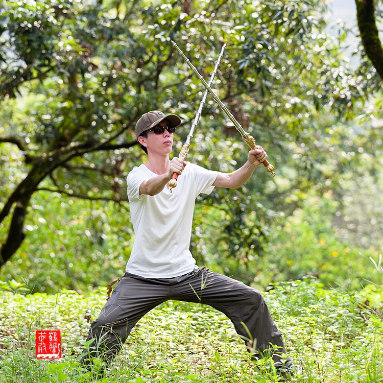 Solid Stainless Steel Bamboo Joint Double Whips Collection, High-grade Standard, Martial Arts Practice