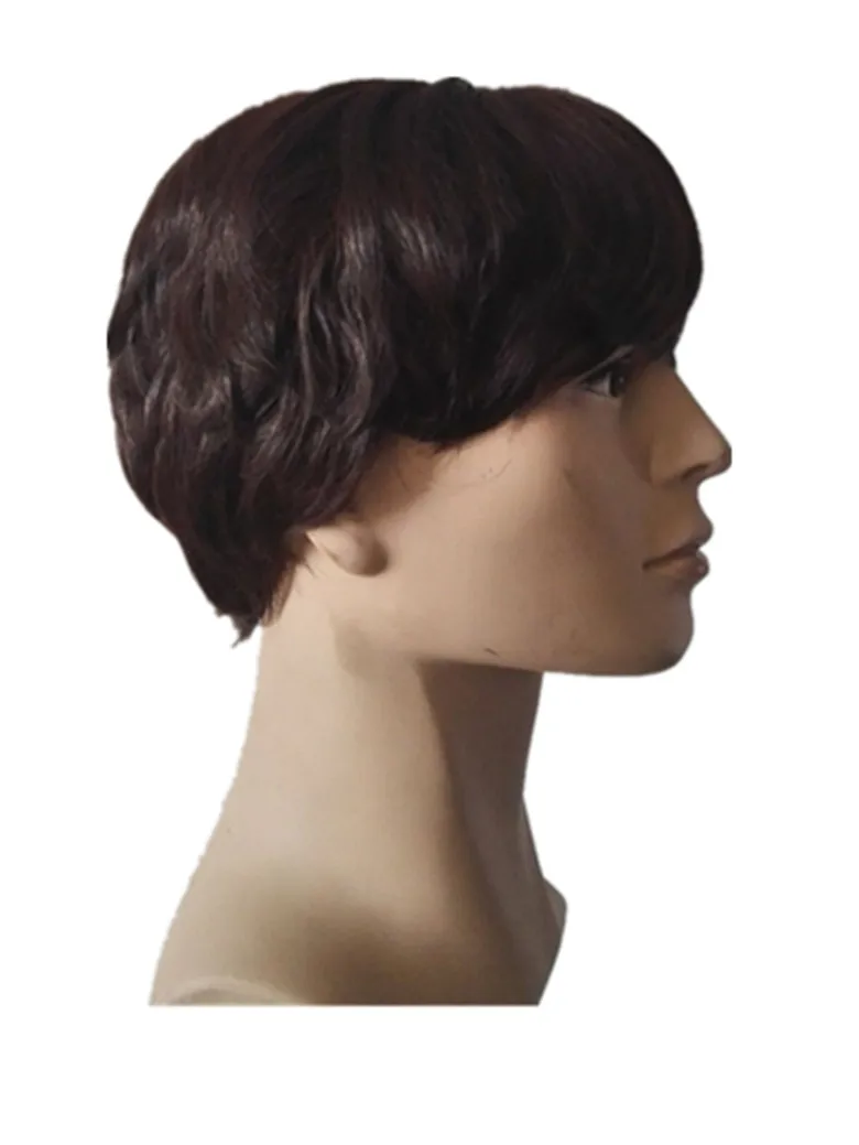 Fei-Show Short Wig  Synthetic Heat Resistant Fiber Dark Brown Wavy Hair Male Man Hairpiece Black Hairpieces Light Brown Peruca