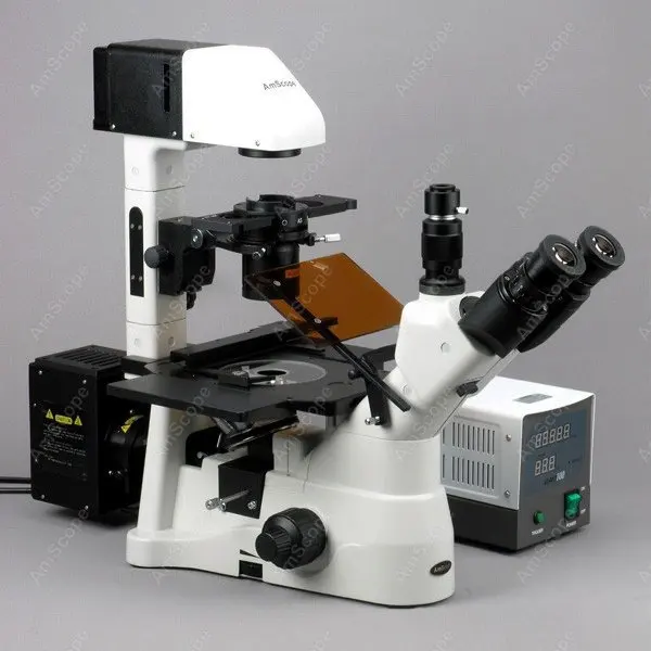 EPI Fluorescence-AmScope Supplies 40X-900X Phase Contrast Fluorescence Inverted Microscope SKU: IN480TA-FL