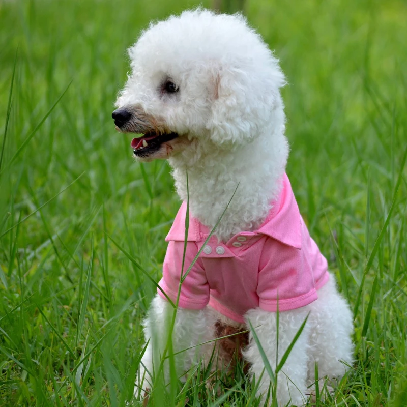 Cute Summer Pet Puppy Small Dog Cat POLO Shirt 100% Cotton Pet Clothes Costume Apparel T-Shirt 5 Size 6 colors