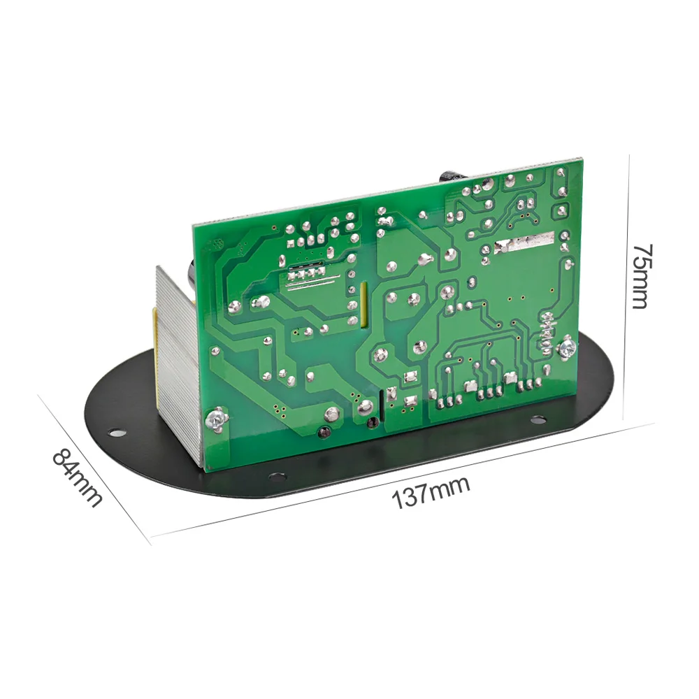 AIYIMA Mono Subwoofer Verstärker Bord Dual Mikrofon K Song Bluetooth Verstärker 30-150W Für 6-10 Zoll lautsprecher 220V 12V 24V