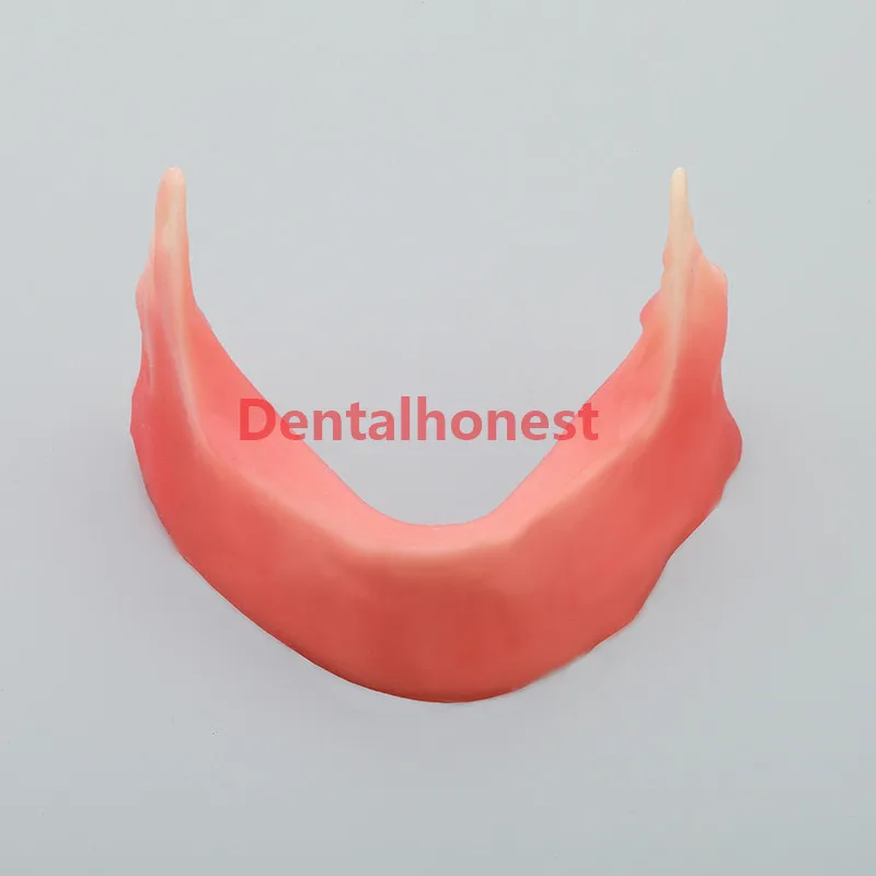 

Mandibular jaw model with silcone for incision inplant sture M2027