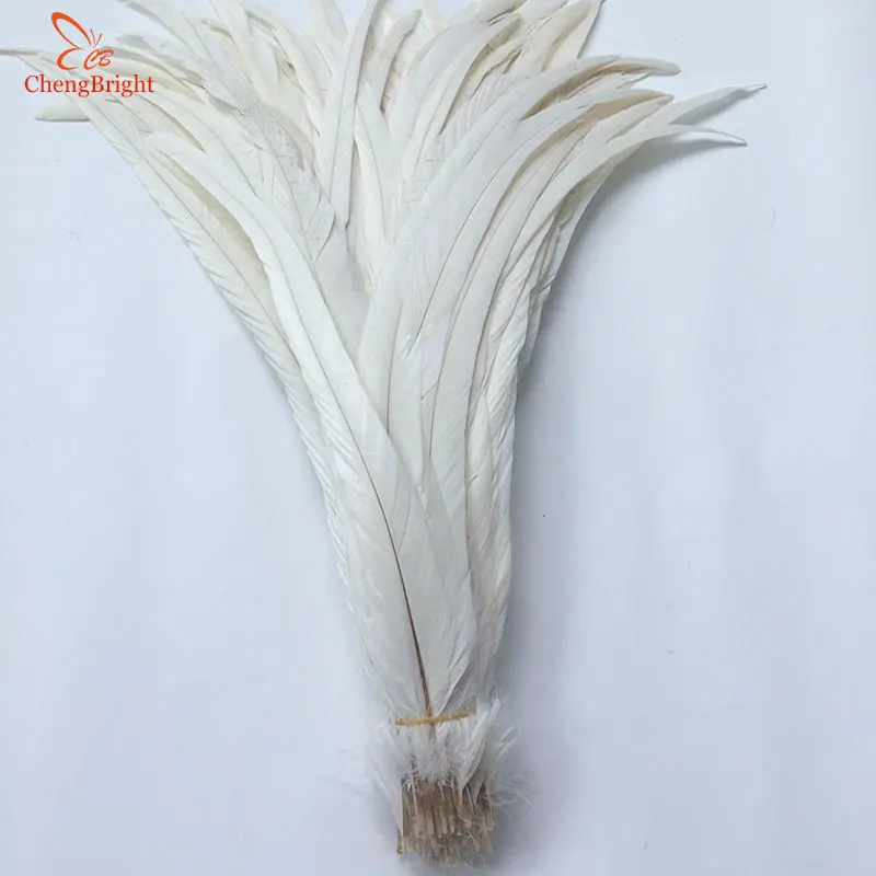 

ChengBright Wholesale 100PCS 14-16Inch Beige Rooster tail Feathers For Decoration Craft Feathers Christma Pheasant Feathers Diy