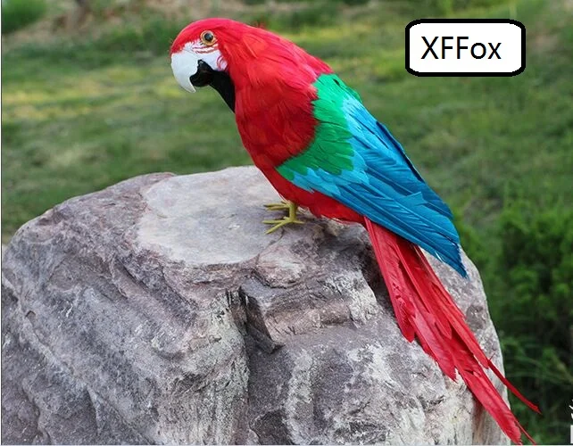 big real life red&blue parrot model foam&feather simulation parrot bird gift about 48cm xf0184