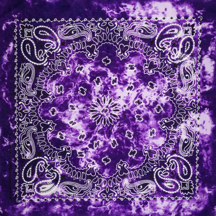 Paisley Pattern Bandana Multipurpose Hip-hop Unisex Neckerchief Headwear/Hair Band Scarf Neck Wrist Wrap Band Headtie for Men