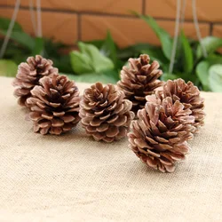 Home accessories zakka groceries shooting props wholesale natural pine cones Shelf