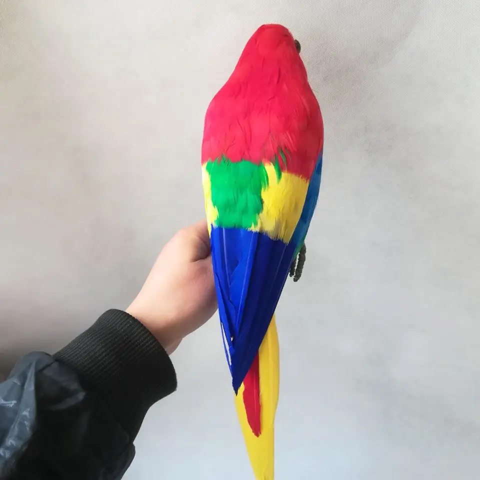 Echt leben spielzeug vogel hard modell große 45cm bunte roten federn papagei vogel garten dekoration prop dekoration spielzeug geschenk h1886