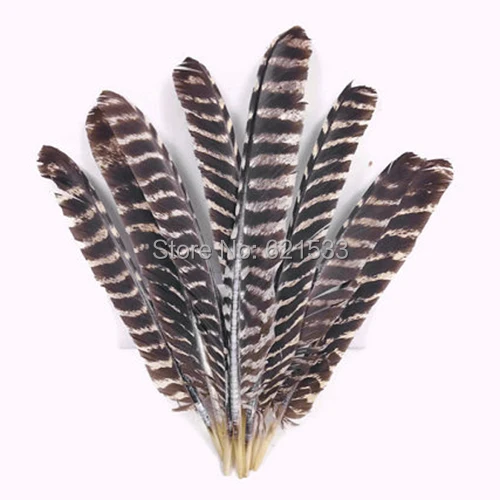 

Wild Feathers,50pcs/lot NATURAL BARRED Wild Turkey Wing Pointers Wholesale Feathers 28-35cm long,freeshipping