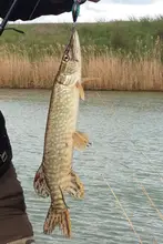 38mm Crank Bait Fishing Lure #3