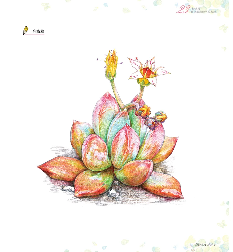 Nuevo libro tutorial básico de lápiz de Color: libro de arte de suculentas de 23 estilos