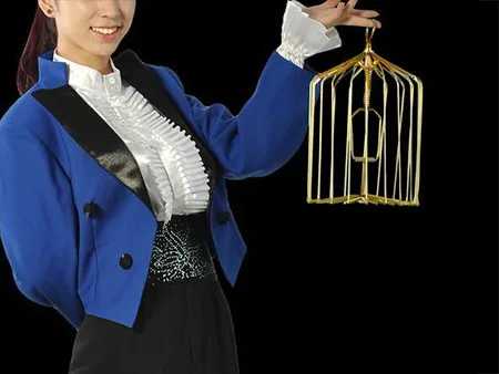 Gold Steel Appearing Bird Cage - Small Size (Dove Appearing Cage), Magic Tricks,Illusions,Gimmick,Prop,Accessories