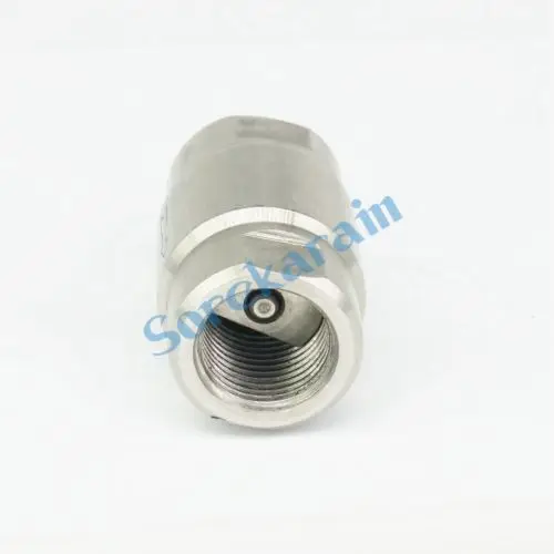 1/2 "Bsp 304 Rvs Non-Return Inline Lente Klep Een Terugslagklep 64 Bar
