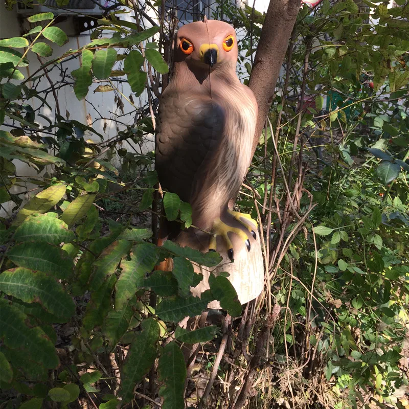 Zilin GroundWork Red Tail Hawk Decoy for scaring pest bird free shipping