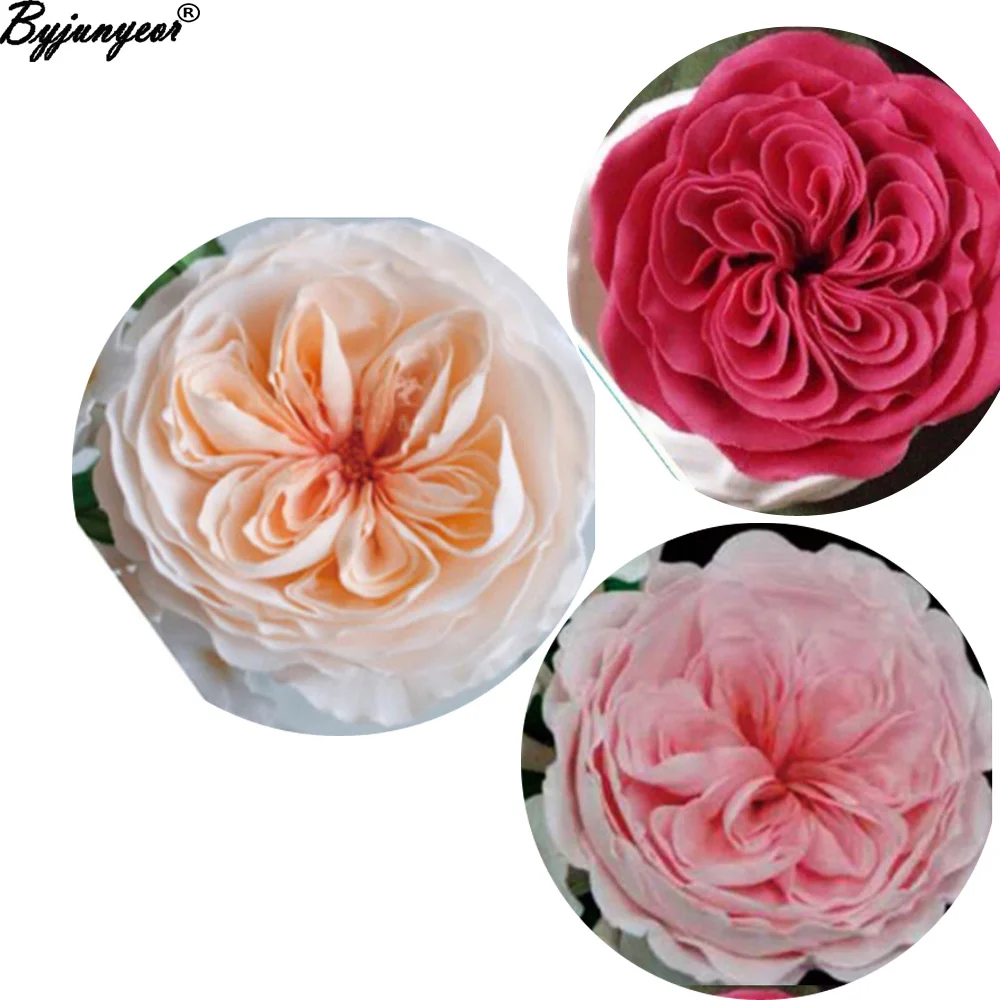 Rose Petal Silicone Veiner Cutter Flower Cutter Cake Decorating Sugarcraft Gumpaste Resin Clay Water Paper Mould CS158