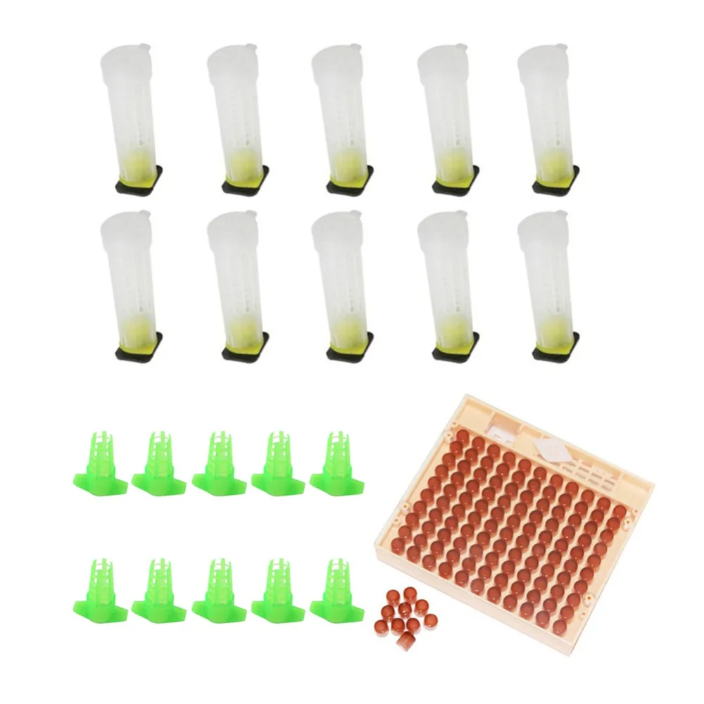 

Bee queen cage and Cell Cup Box kit Farm Equipment Bee Queen Rearing System Bee Tool Beekeeping Supplies 1 Set