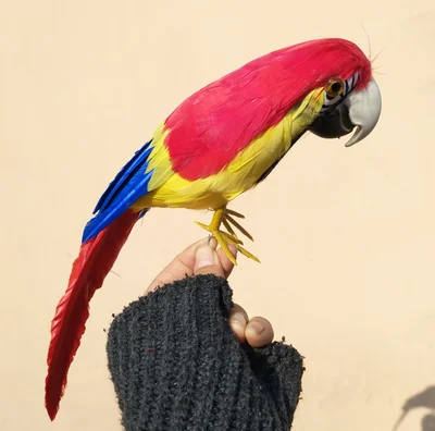 

30cm red colourful feathers parrot bird artificial bird handicraft prop,home garden decoration gift p1914