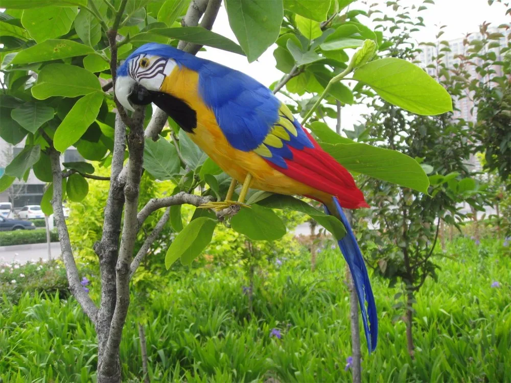 real life Bird yellow-blue feathers parrot model large 45cm parrot garden decoration filming prop gift h1002