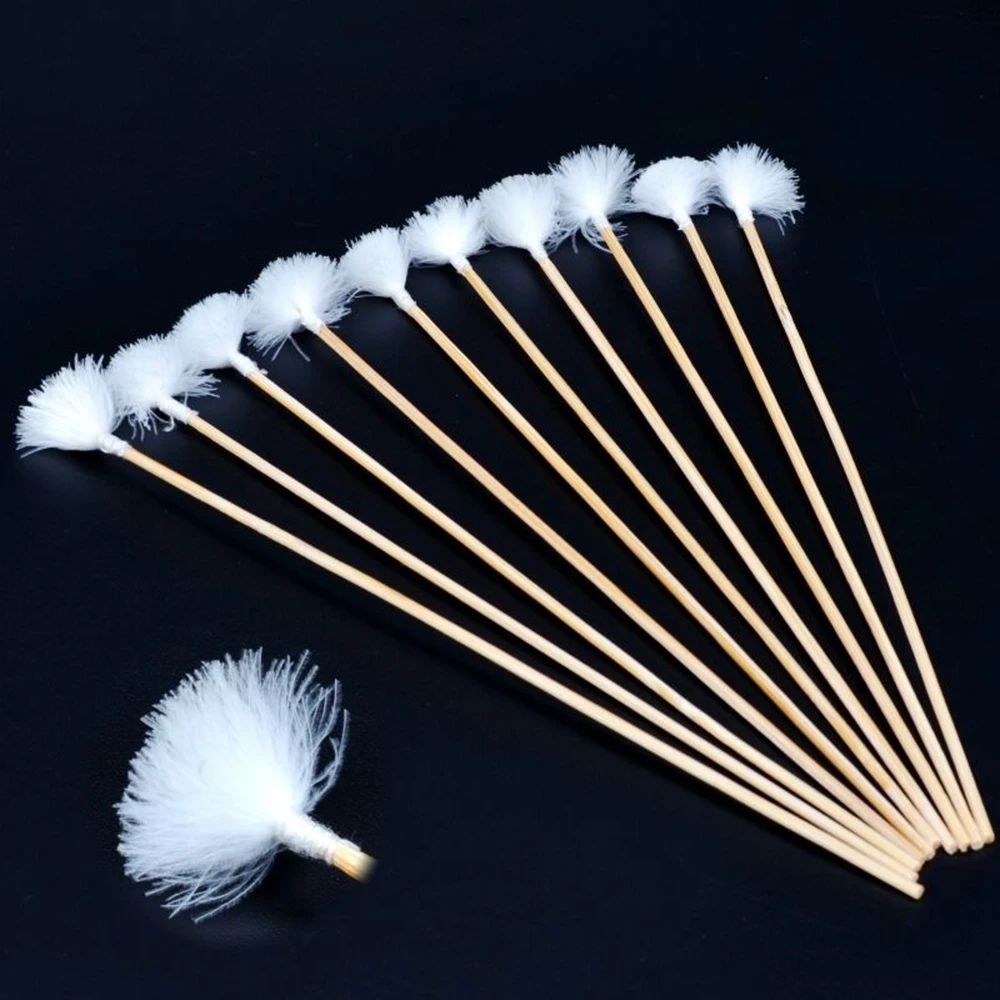 

10 Pcs Earpick Wax Remover Curette Remover Ear Pick Spoon Ear Cleaner Tool for Adult Goose feather stick earpick