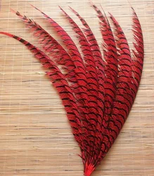 10 pcs/lot 32-36inch/80-90cm Red Lady Amherst Pheasant feather for Home Decoration,Wedding Party Decoration