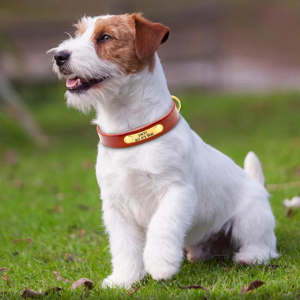 Echtes Leder-Katzenhalsband für kleine und mittelgroße Hunde, personalisiertes Hunde-ID-Halsband, individueller Haustiername und Telefonnummer, kostenlose Gravur – Detail 15