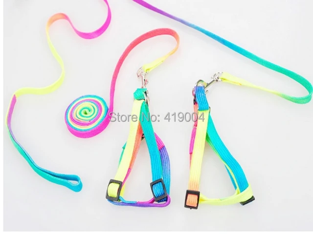 

Dog Pet Collar Rope Chain For Small Dogs Cat Colorful Fedex dhl Free shipping ,500pcs/lot