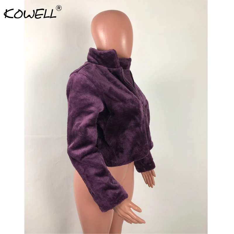 New Velvet Purple Women Winter Jacket Coat Turn-down Collar Long Sleeve Short Coats Casual Warm Autumn Streetwear Down Coat 2018
