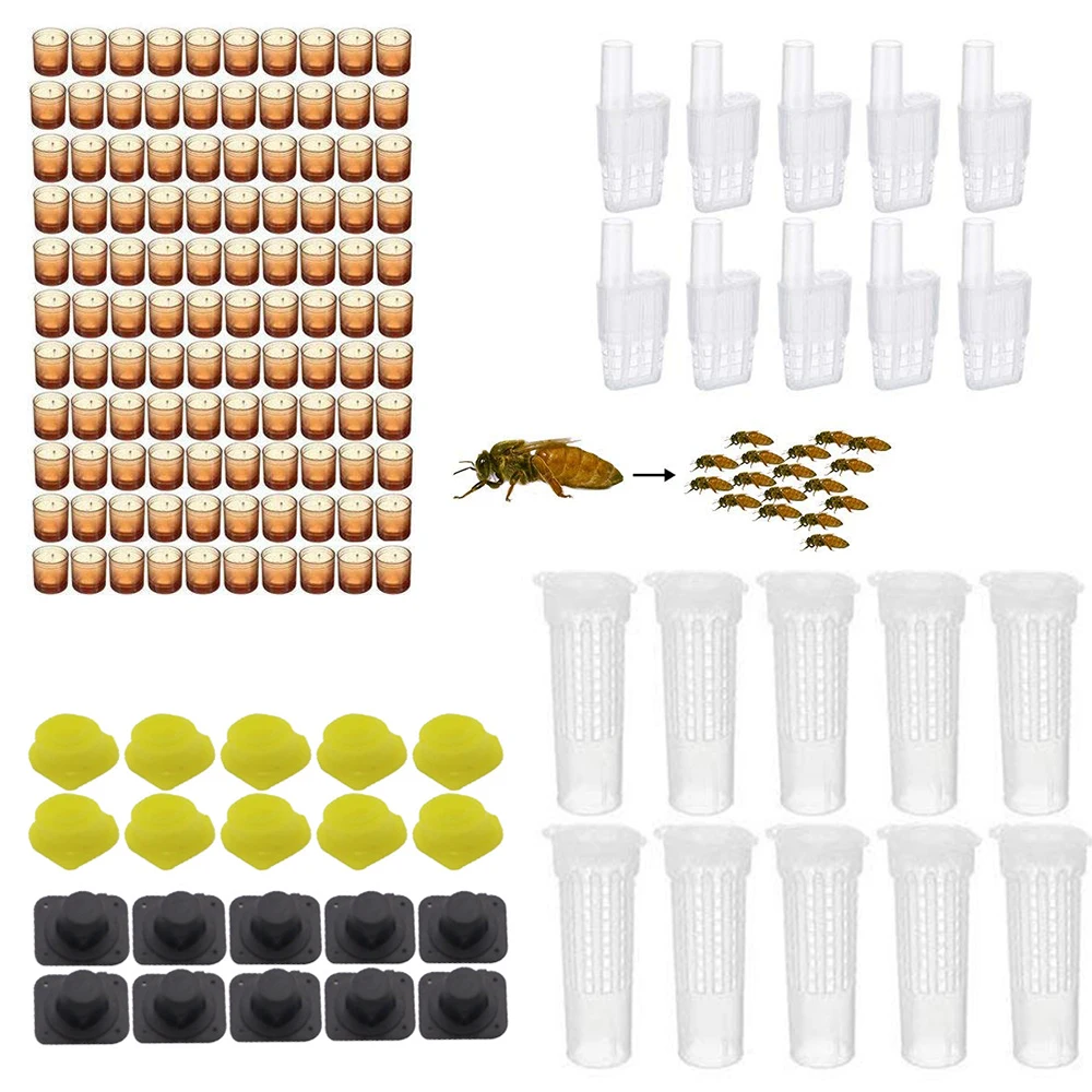 1set Apicultura Kit Complete Bee Queen Rearing Set System Plastic Protection Cover Cages Cells Base Celular Bees Tools Cell