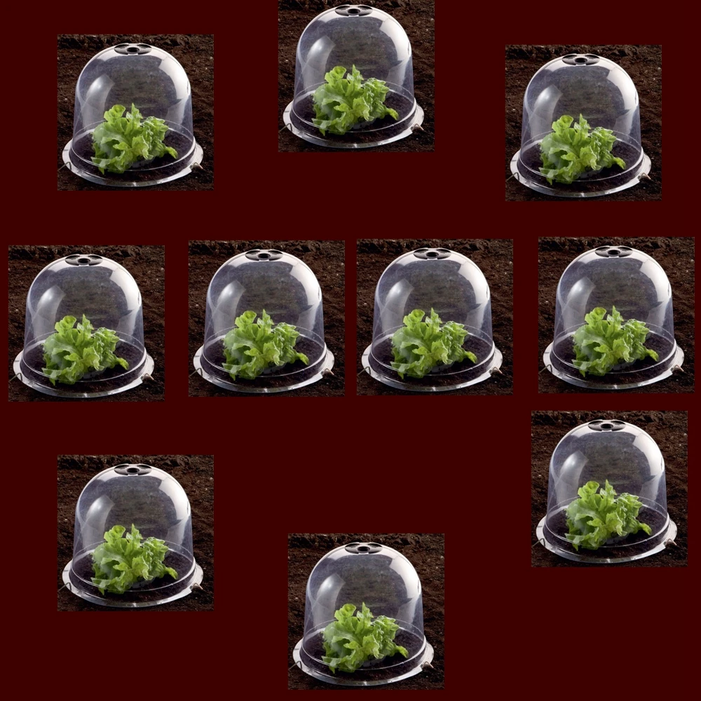 Batawa Plastic Protective Garden Cloche, Plant Bell Cover 10pcs/lot