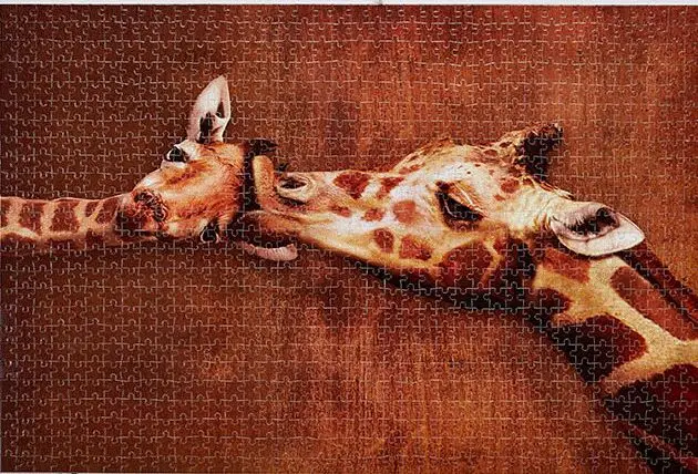 Deer erste kuss Die holz puzzle 1000 stück ersion papier jigsaw puzzle weiße karte erwachsene kinder pädagogisches spielzeug