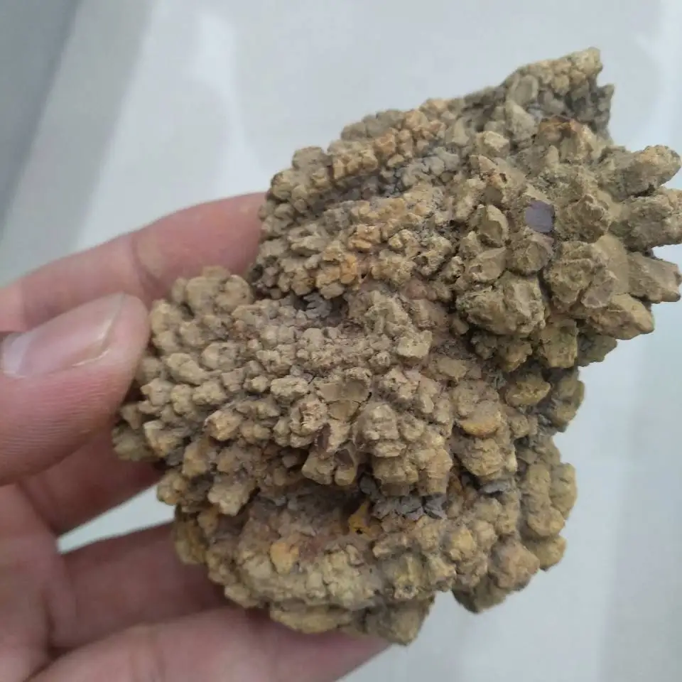 a pack  100g dinosaur poop, Dinosaur Coprolite