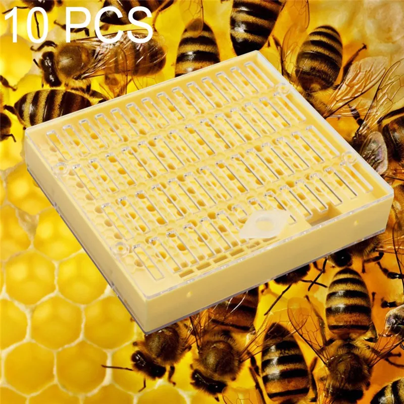 1 Pcs Plastic Bee Queen Box Queen Rearing Box Cultivate Queen Bee Tool Beekeeping Tool Plastic Durable Does Not Harm Queen Bee