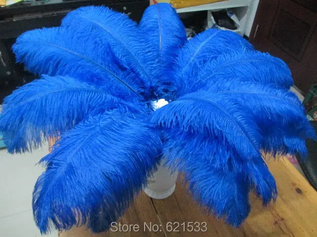 50pcs/LOT 22-24inches(55-60cm) perfect Royal Blue Ostrich feathers for Wedding Table Centerpieces and Home Decor