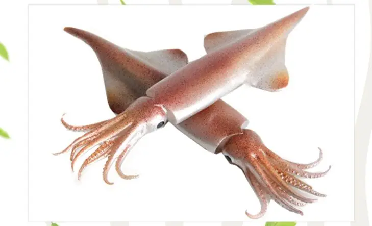 Simulation big squid props food dish model cuttlefish squid squid pen tube fish food barbecue seafood ingredients