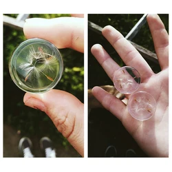 2pcs Transparent Dandelion Flower Acrylic Ear Plugs Ear Gauge for Women Men Flesh Ear Plugs and Tunnels Piercing Oreja 10mm-25mm