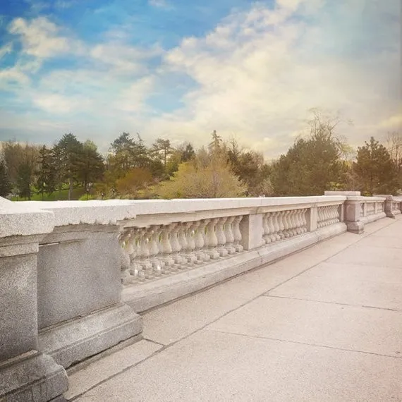 

Romantic Bridge Wedding Nature Engagement photo backdrop High quality Computer print wedding background